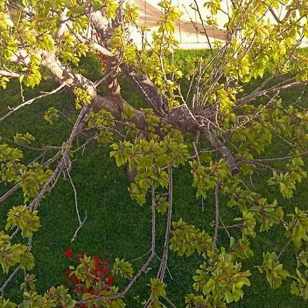 Giardino Romanelli 기우르디냐노