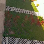 Giardino Romanelli Pensjonat 3*